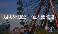 足协杯抽签
：恒大鲁能陷死亡区 国安上港同区