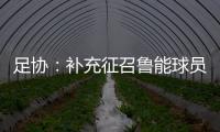 足协�：补充征召鲁能球员刘洋入选国足集训名单