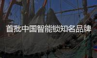 首批中国智能锁知名品牌发布
