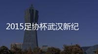 2015足协杯武汉新纪元VS鲁能战报