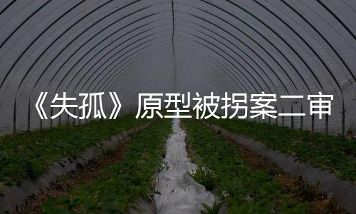 刘德华饰演的被拐被告主角