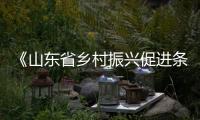 《山东省乡村振兴促进条例》审议通过 7月1日正式实施