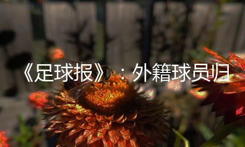 提出了暂行实施意见