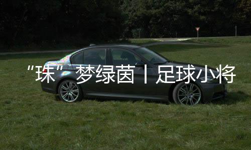 足球珠海足球赛场上