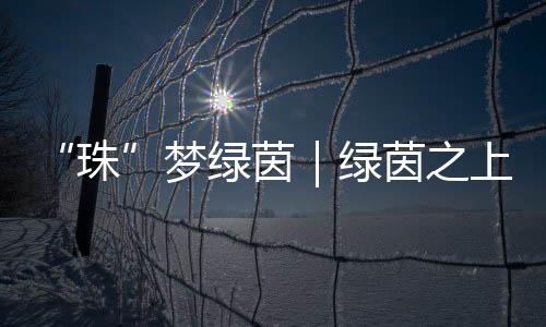 培养社会体育指导员达1750人
