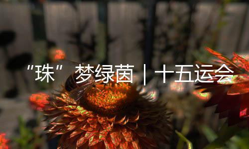 为此次试点奠定坚实基础