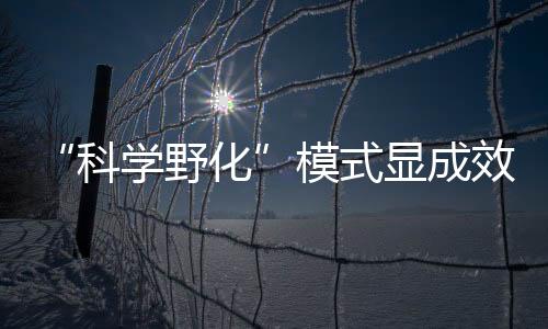 引入“全民科学家”理念
