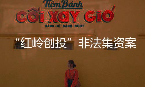 集资剥夺政治权利终身