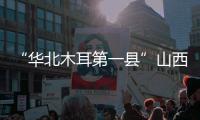 “华北木耳第一县”山西中阳
：黑木耳成“富民恒业”