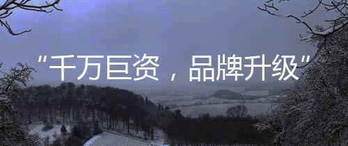 土豆、品牌动态视频