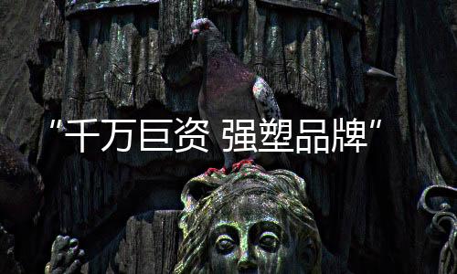 积极筹备展播申请的前期工作