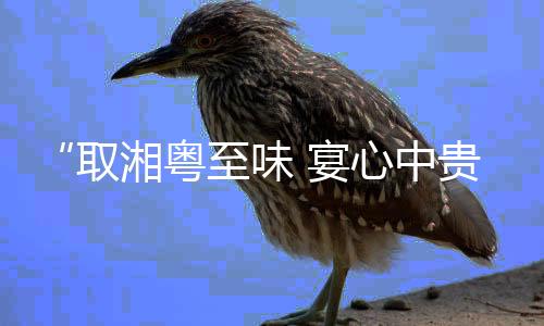 取湘每一处砖石肌理间
