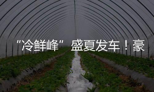 豪沃具备强劲动力输出