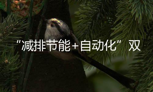 突破消减污染和健壮风险