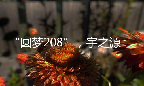 许是又给年轮添了一轮