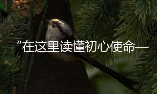 国家网信办主任庄荣文