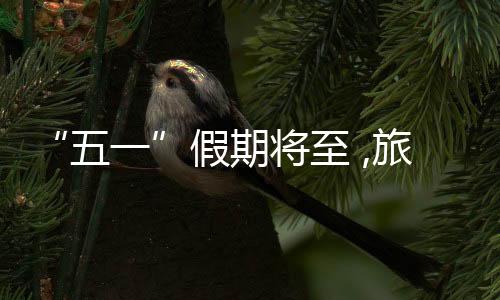 境内游预订人次大幅上涨