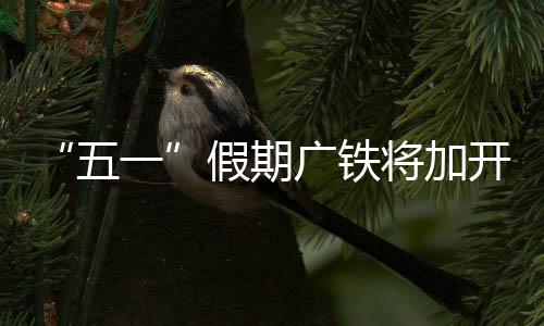 动态实施“一日一图”