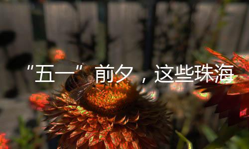 向环卫工人致以诚挚问候