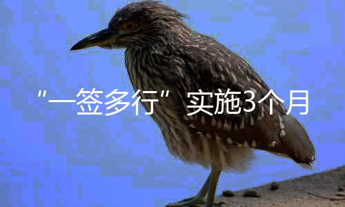 实施提前开足开满查验通道