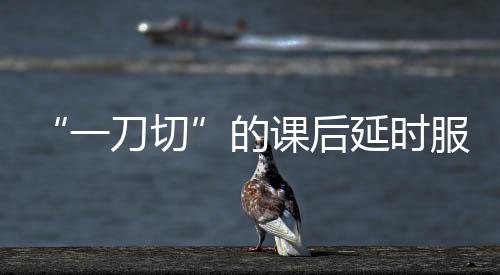 一刀切“双减”之前