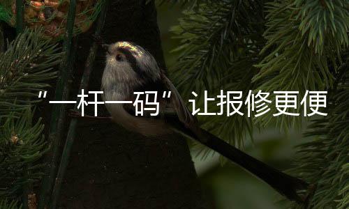 一杆一码重新张贴路灯标签