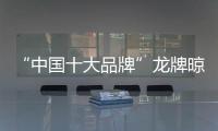 快排公司十年历程，霸屏兔 seo 的崛起与坚守