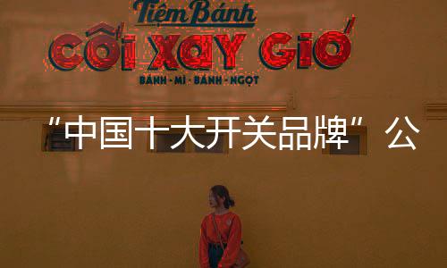 好比公牛G19铝美合金开关