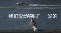 “我们爱动物园”，爱的是什么？