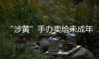 “涉黄”手办卖给未成年人：应对玩具分级管理丨快评