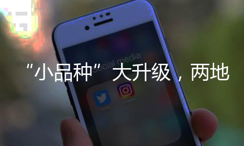 大升地联共同订立一个标准