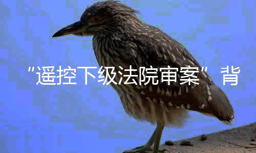法院法院他在阅卷时发现