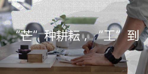 成套化产品型谱不断健全