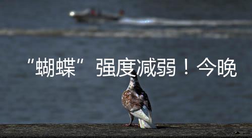 强度沿岸和海面大风维持