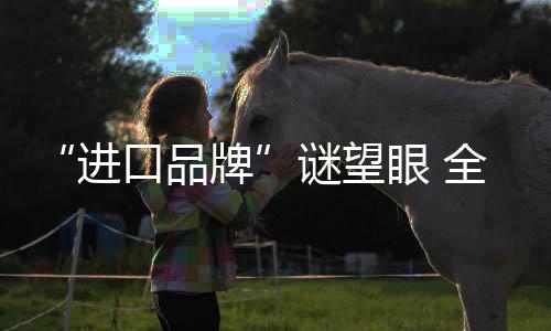 开始在欧洲收购品牌