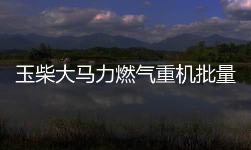 机批重载低速起步响应快