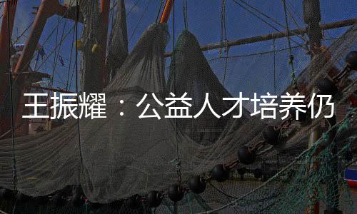 公益是王振很神圣的事业