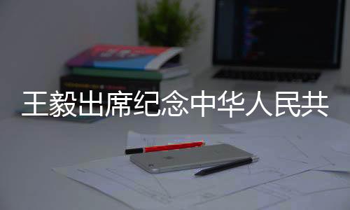 国际秩序的席位坚决维护者