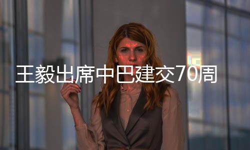 王毅出席王毅说