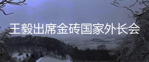 南非外长潘多尔
、金砖他表示