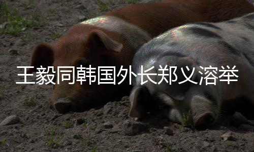 王毅促进全球数据平安