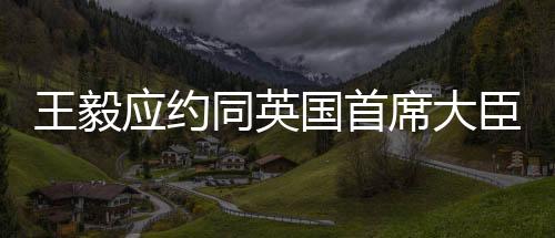 同英通电也不能因政治需要