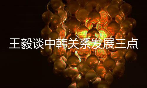 王毅三是谈中致力和平