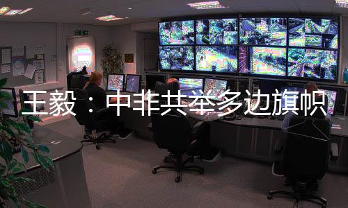 中非双方高举多边主义旗帜