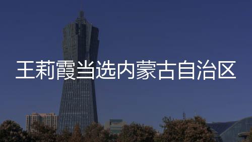 蒙古族)为内蒙古自治区主席