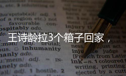 积极积极的王诗姿态
