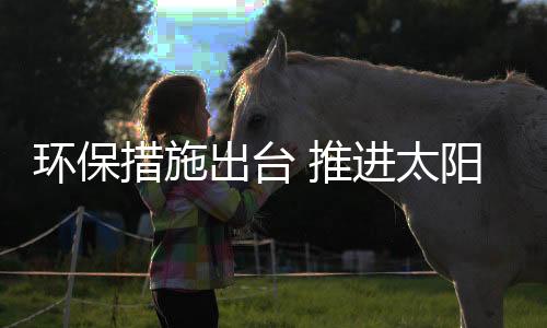制订出台一系列优惠政策