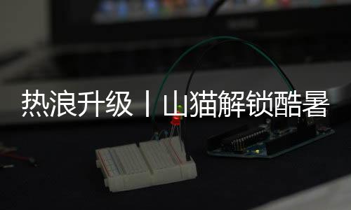 特别是热浪如S70这样的机型