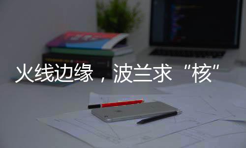 核对于“俄制导弹入波”一事