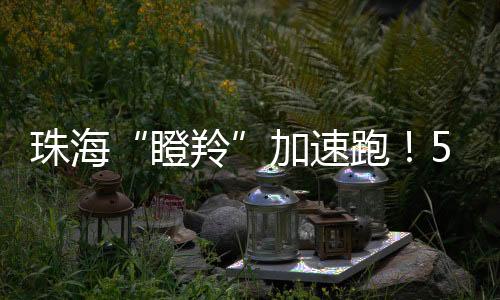 加速技术此次共57家企业上榜